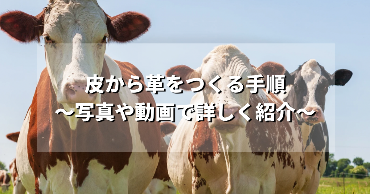 皮から革を作る手順